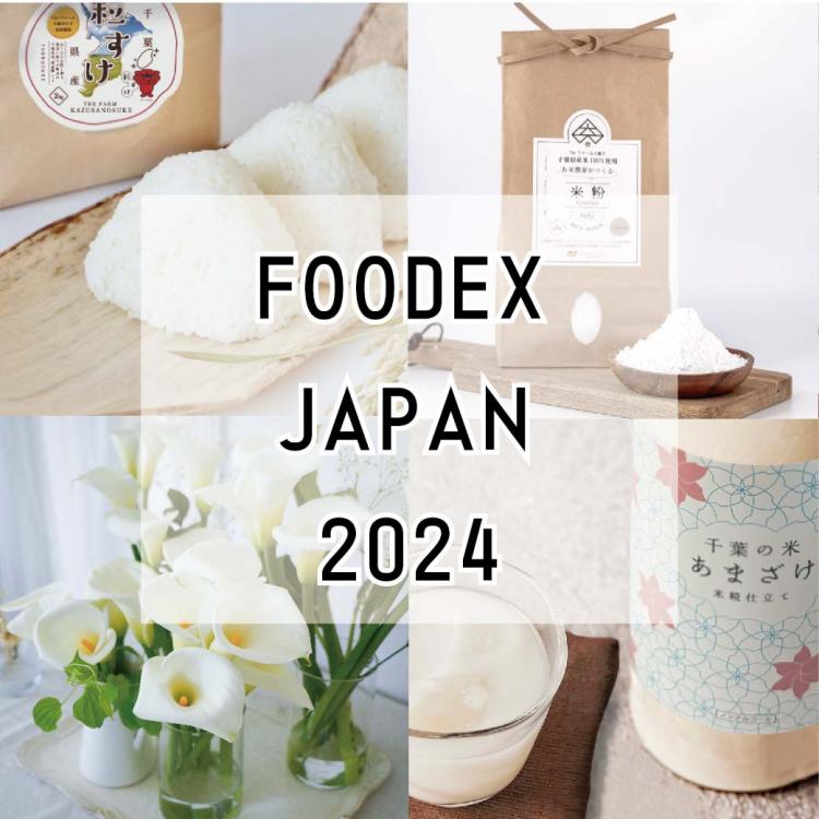 【イベント告知】FOODEX  JAPAN  2024　に株式会社穴太ホールディングスが出展します！