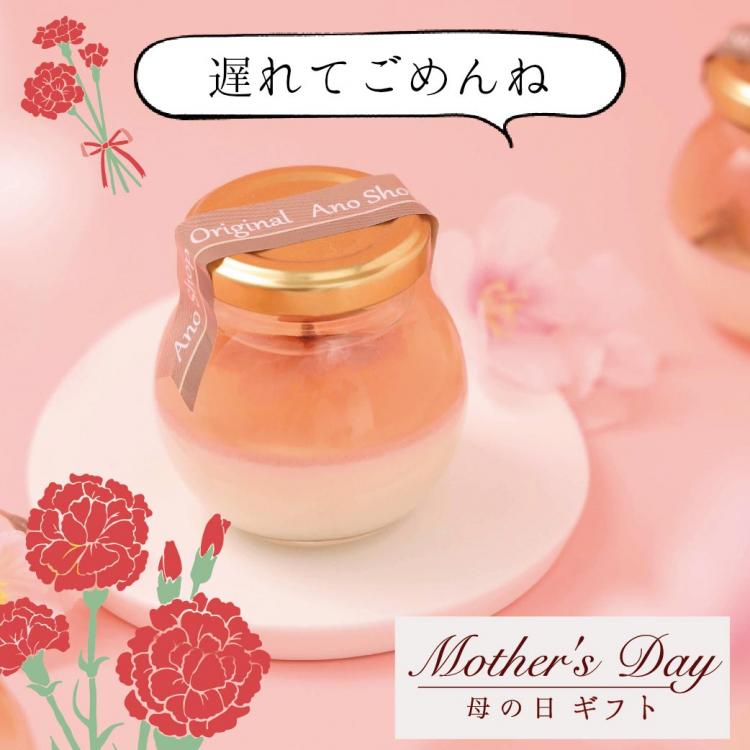 遅れてごめんねHappy mother's Day *2024*